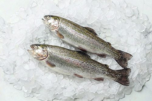 פורל
