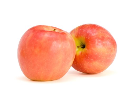 תפוח עץ פינק ליידי